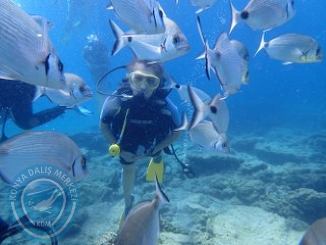 03-04 Ekim Bodrum