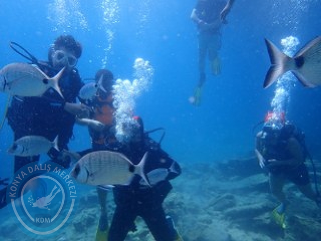 03-04 Ekim Bodrum