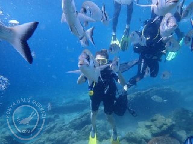 03-04 Ekim Bodrum