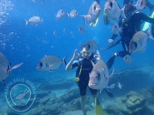 03-04 Ekim Bodrum
