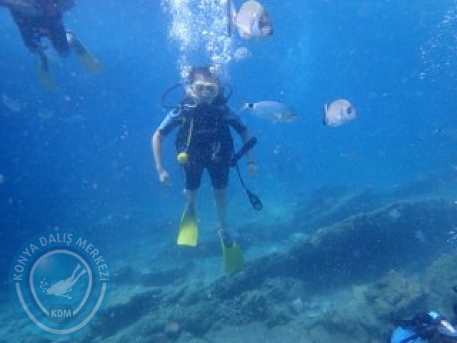 03-04 Ekim Bodrum