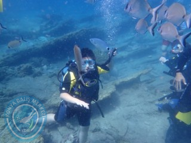 03-04 Ekim Bodrum