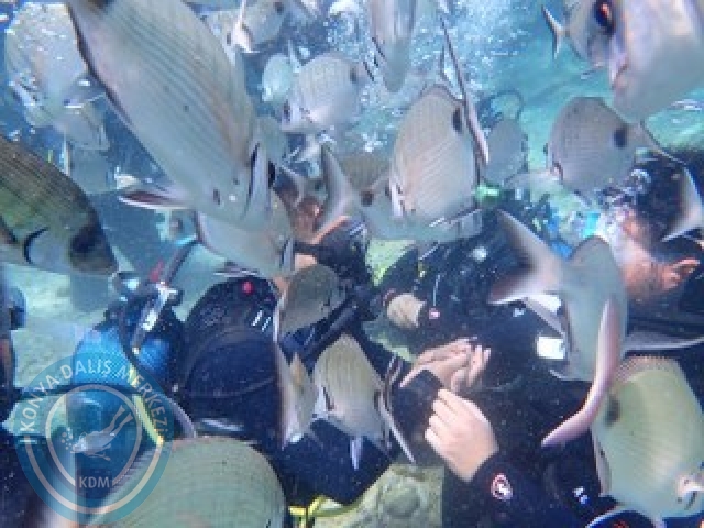 03-04 Ekim Bodrum