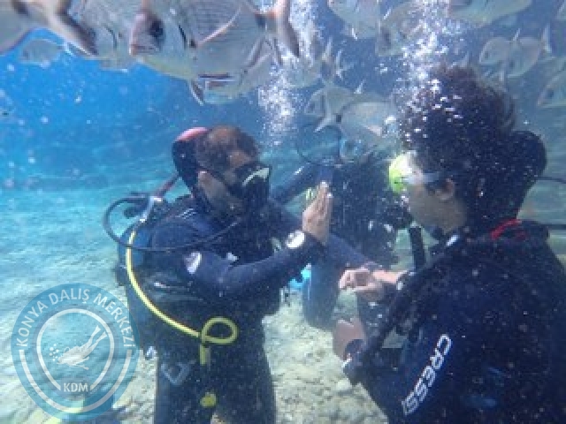 03-04 Ekim Bodrum