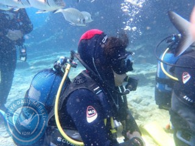 03-04 Ekim Bodrum