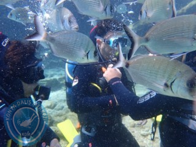 03-04 Ekim Bodrum