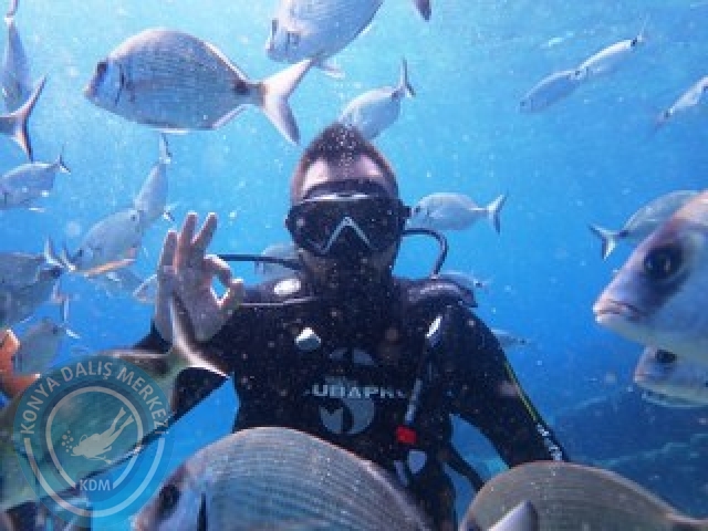 03-04 Ekim Bodrum