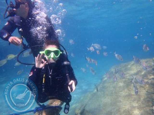 03-04 Ekim Bodrum