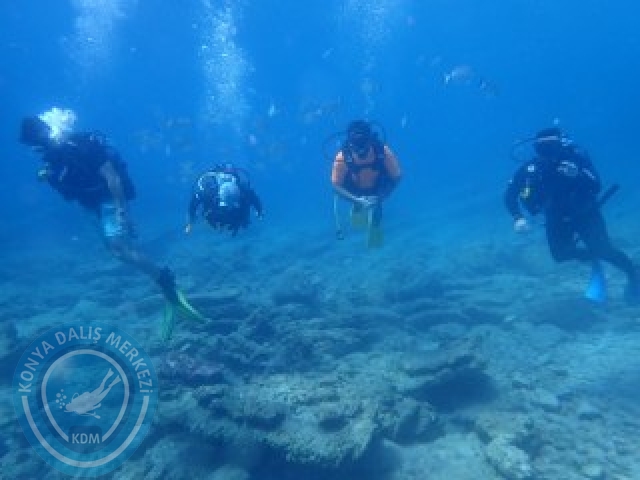 03-04 Ekim Bodrum