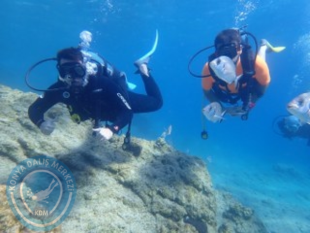 03-04 Ekim Bodrum