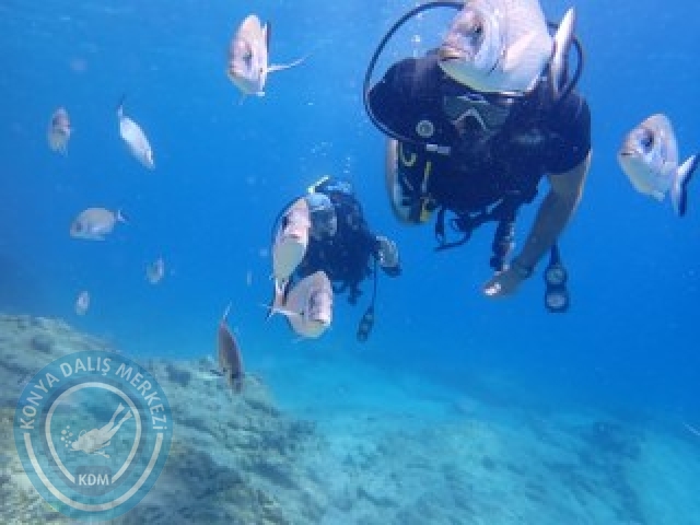 03-04 Ekim Bodrum