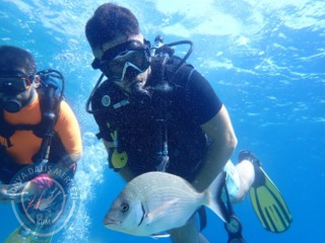 03-04 Ekim Bodrum
