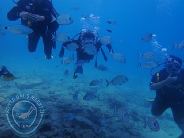 03-04 Ekim Bodrum