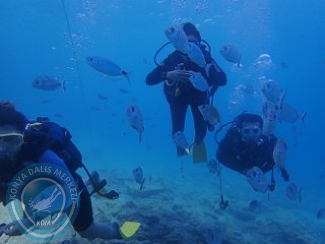 03-04 Ekim Bodrum