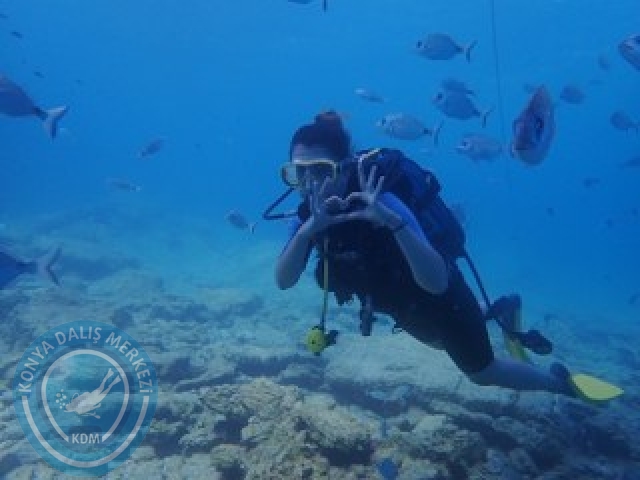 03-04 Ekim Bodrum