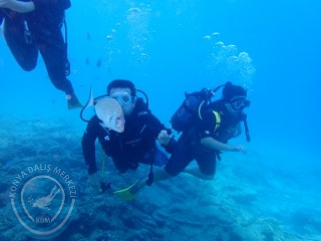 03-04 Ekim Bodrum