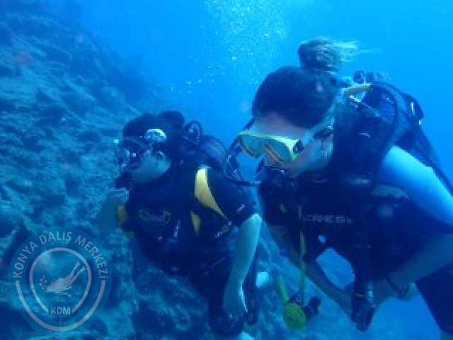 03-04 Ekim Bodrum
