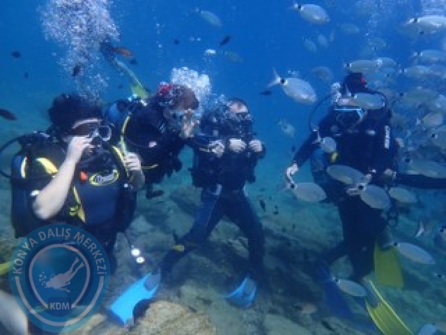 03-04 Ekim Bodrum