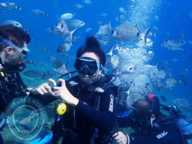 03-04 Ekim Bodrum