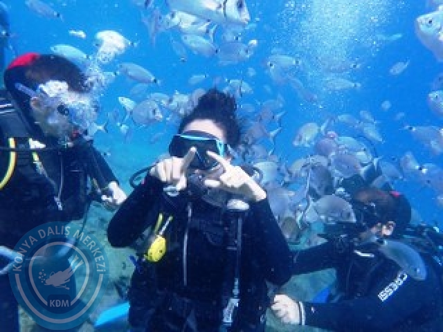 03-04 Ekim Bodrum