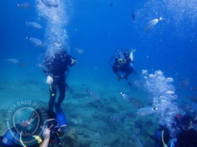 03-04 Ekim Bodrum