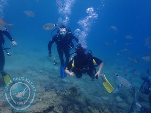 03-04 Ekim Bodrum