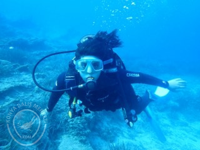 03-04 Ekim Bodrum