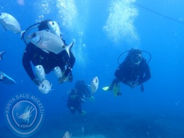 03-04 Ekim Bodrum
