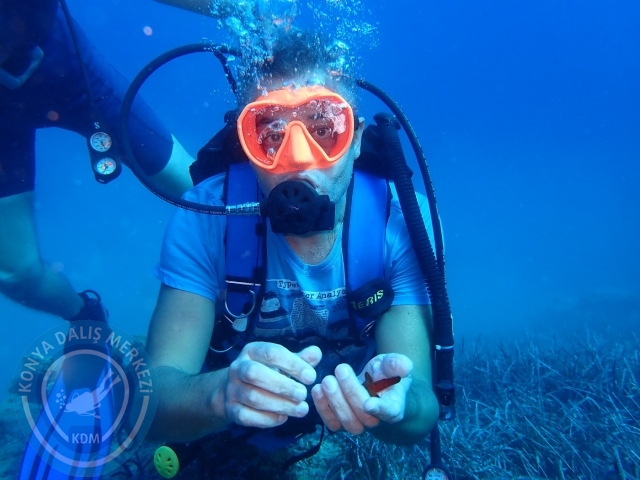 03-04 Eylül Datça