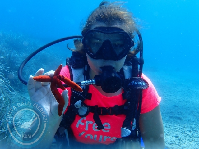 03-04 Eylül Datça