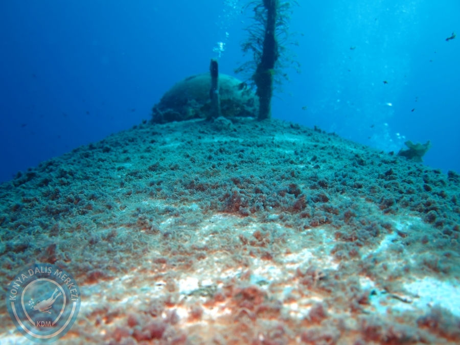 03-04 Eylül KAŞ