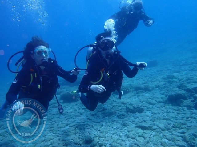 03-04 Temmuz Bodrum