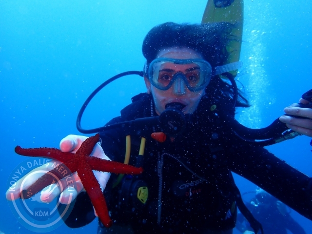 03-04 Temmuz Bodrum
