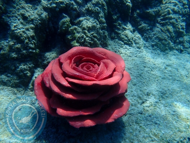 03-04 Temmuz Bodrum