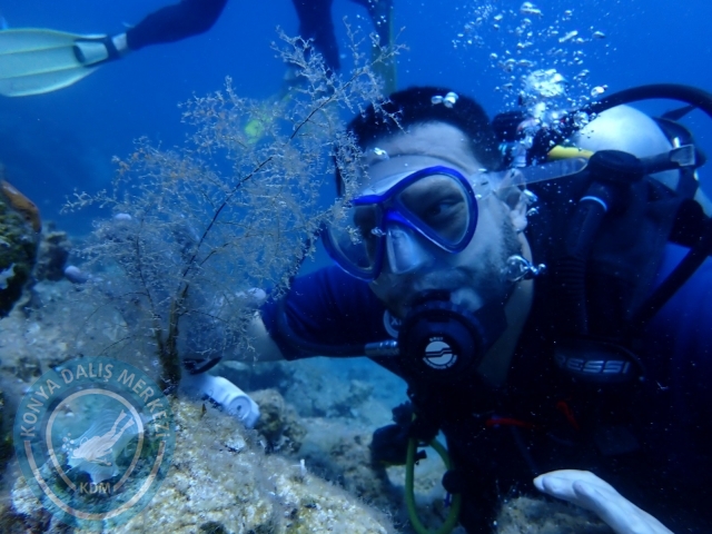 03-04 Temmuz Bodrum
