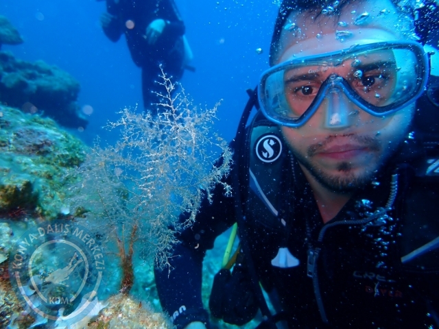 03-04 Temmuz Bodrum