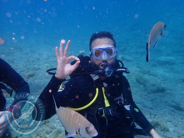 03-04 Temmuz Bodrum