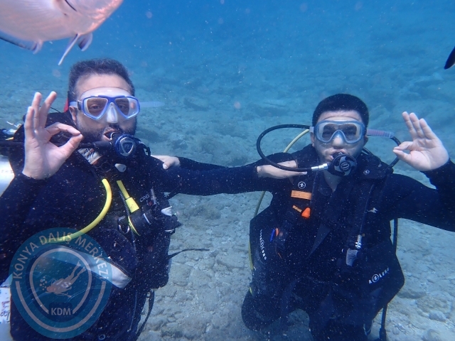 03-04 Temmuz Bodrum