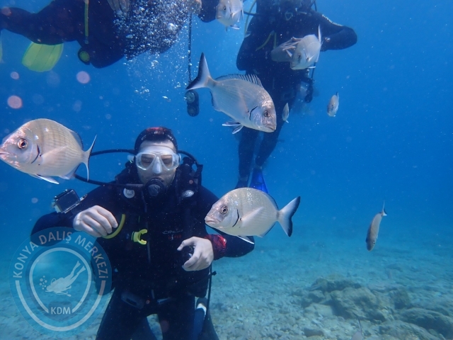 03-04 Temmuz Bodrum