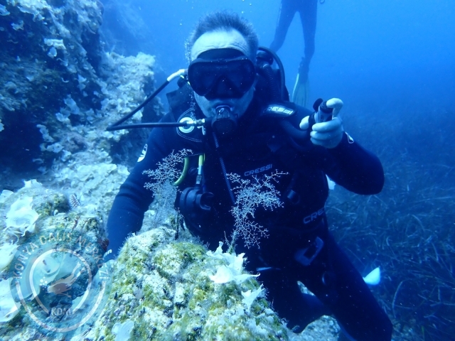 03-04 Temmuz Bodrum