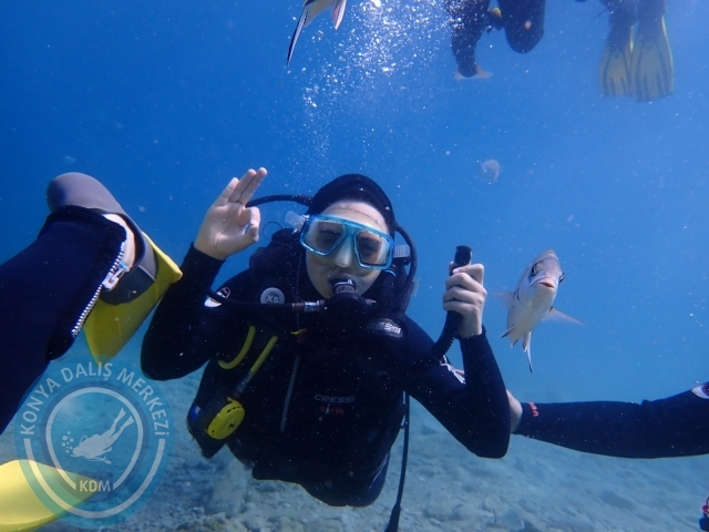 03-04 Temmuz Bodrum