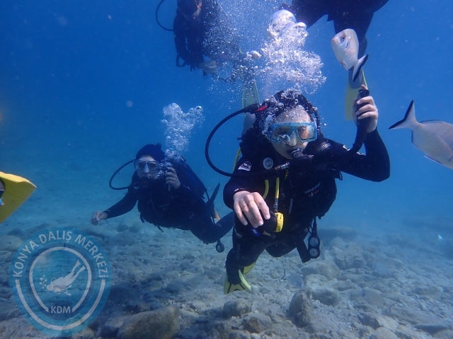 03-04 Temmuz Bodrum