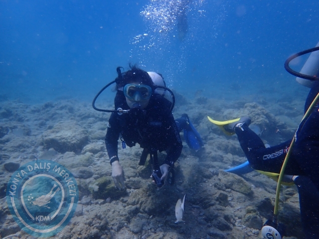 03-04 Temmuz Bodrum