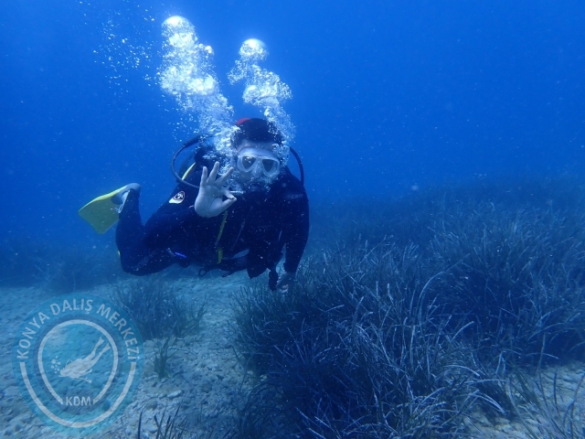 03-04 Temmuz Bodrum