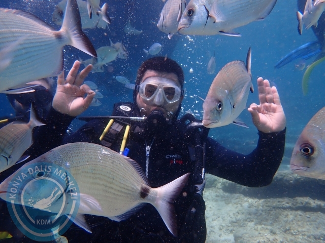 03-04 Temmuz Bodrum