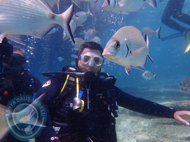 03-04 Temmuz Bodrum