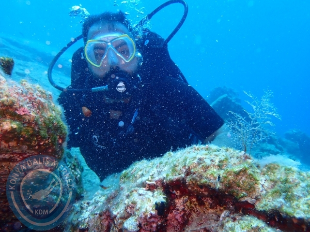 03-04 Temmuz Bodrum