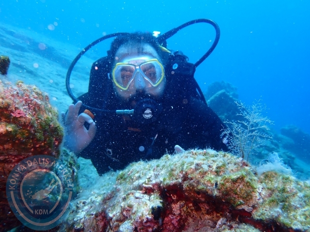 03-04 Temmuz Bodrum