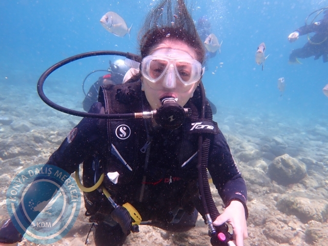 03-04 Temmuz Bodrum