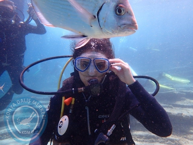03-04 Temmuz Bodrum